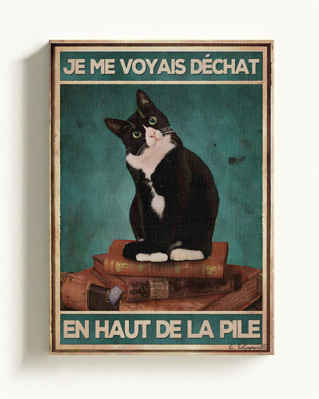 Chats & félins