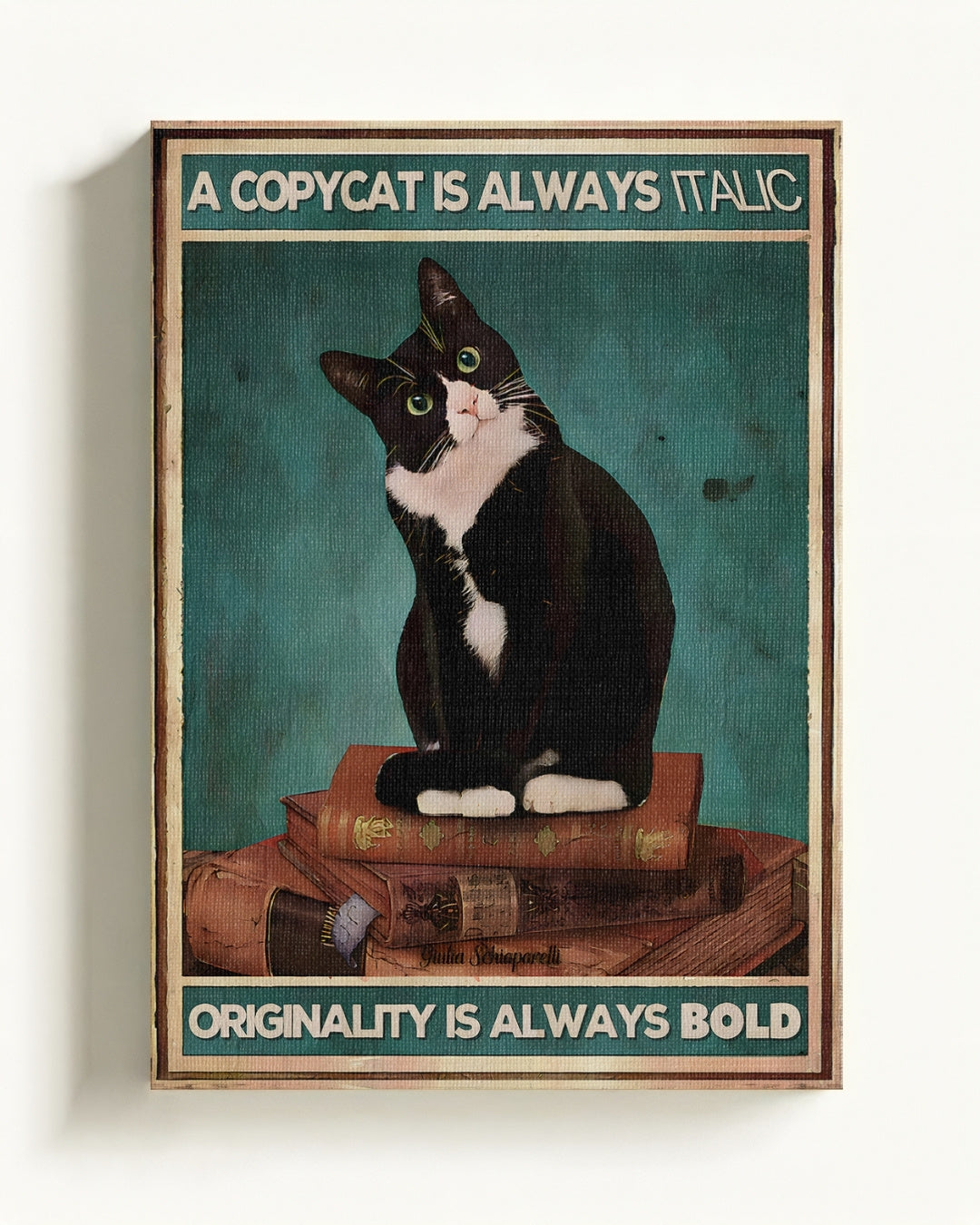 Cats & felines