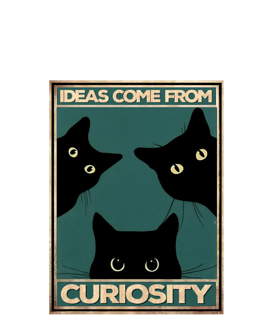 Ideas come from curiosity (Test)