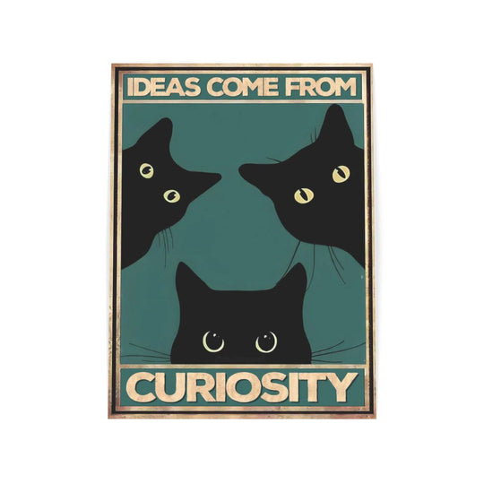 Ideas come from curiosity (Both)