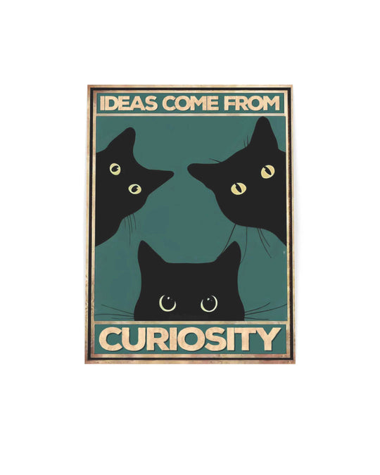 Ideas come from curiosity (Both)