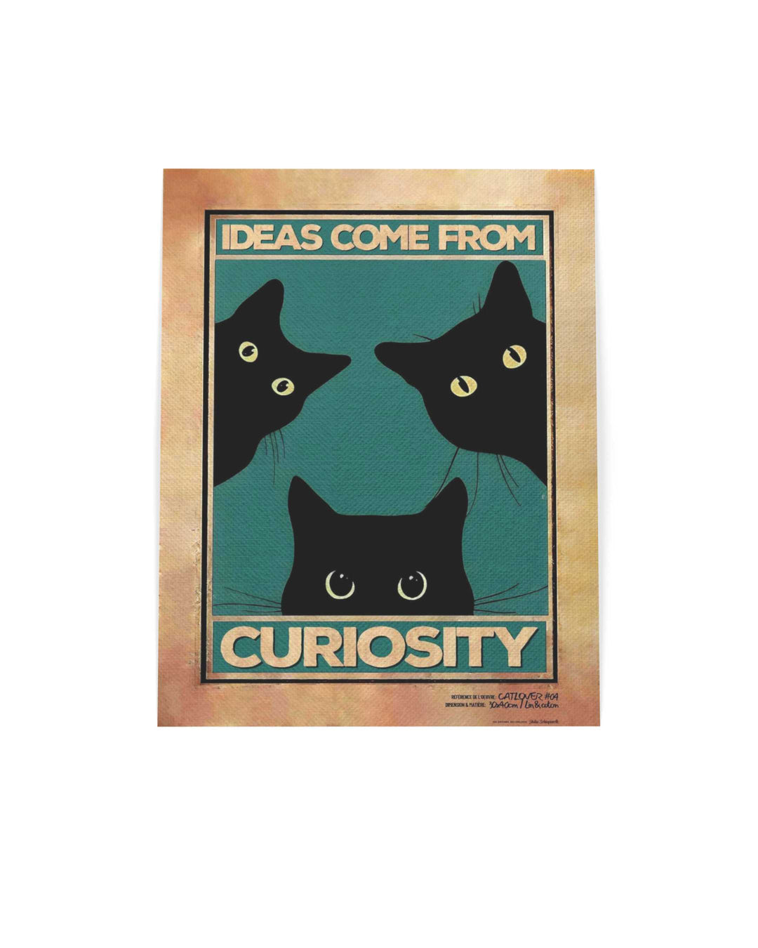 Ideas come from curiosity (Both)