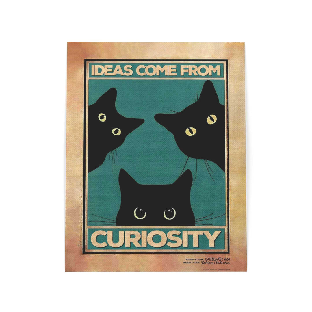 Ideas come from curiosity (Both)