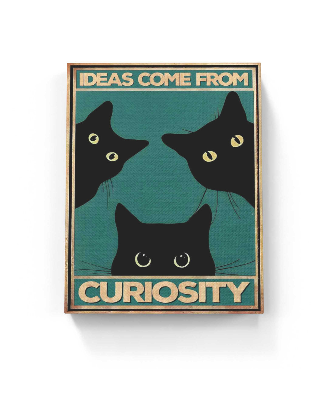 Ideas come from curiosity (Both)