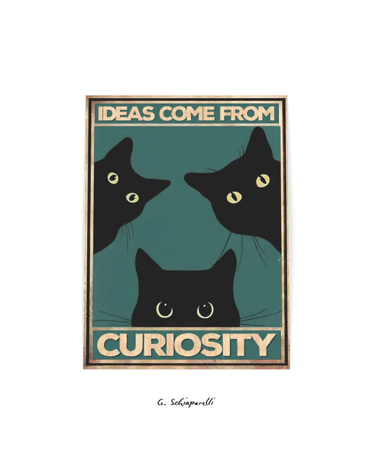 Ideas come from curiosity (Both)