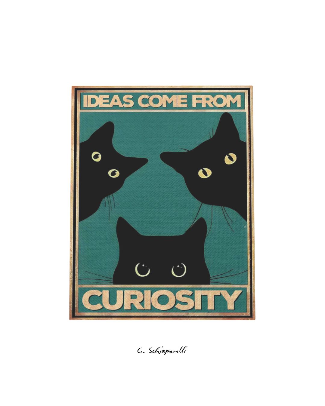 Ideas come from curiosity (Both)
