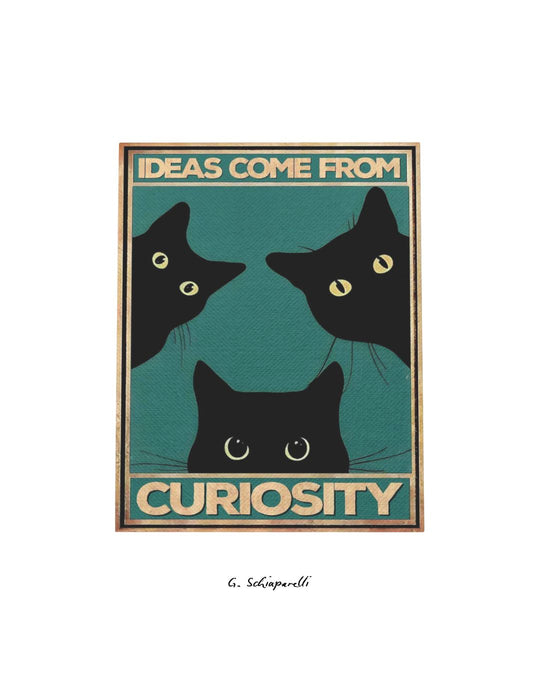 Ideas come from curiosity (Both)