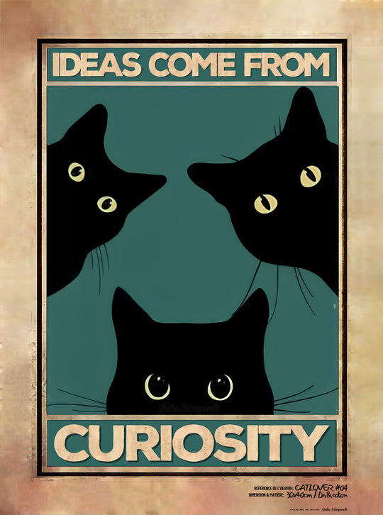 Ideas come from curiosity (3 options)