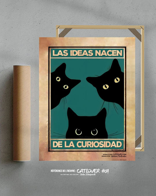 Las ideas nacen de la curiosidad