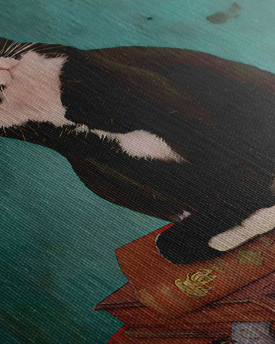Mi gato no tiene dueño, tiene admiradores