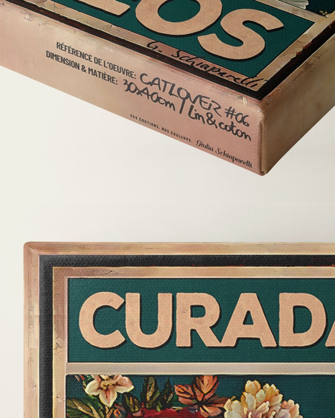 Curada por amor y ronroneos