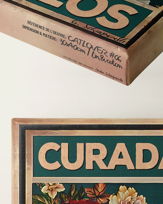 Curada por amor y ronroneos