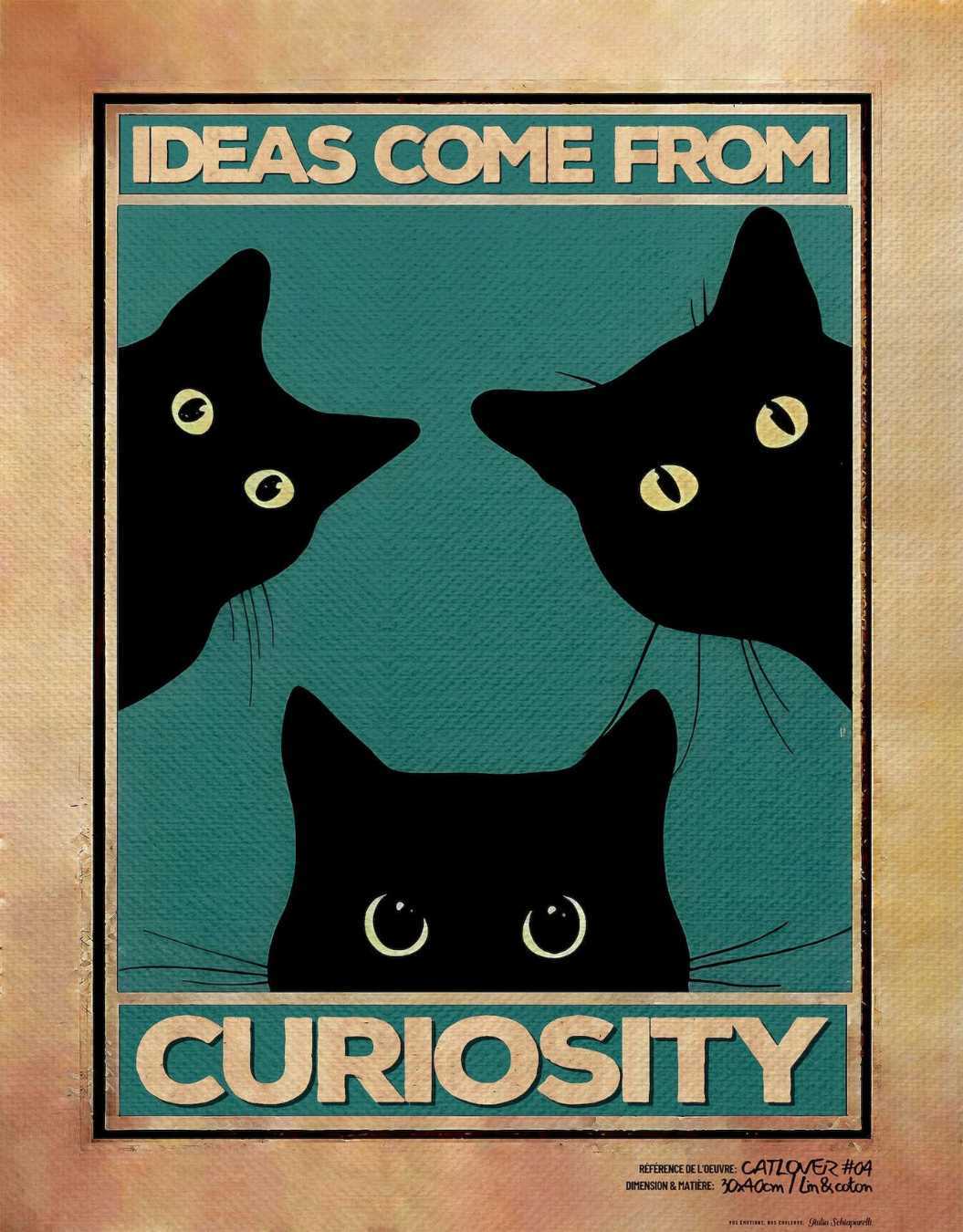 Canvas - Ideas come from curiosity