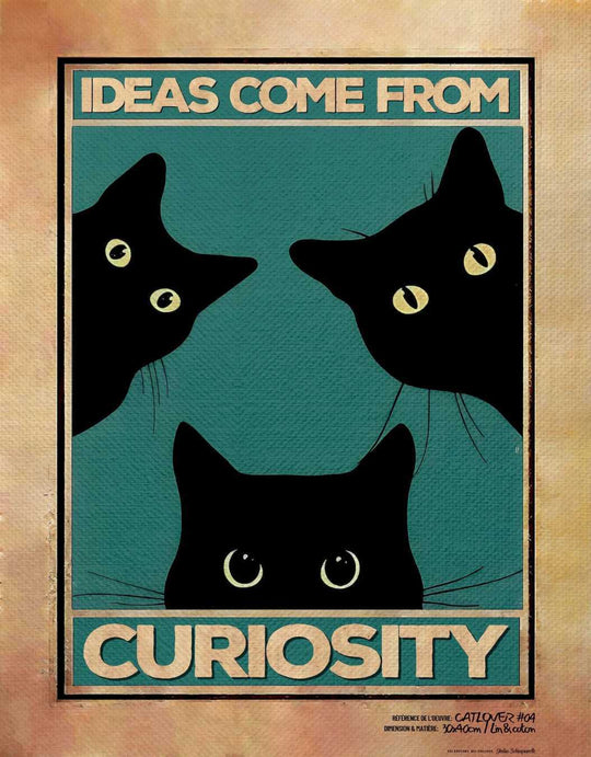 Canvas - Ideas come from curiosity