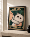 Are you kitten me ?
