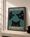 Ideas come from curiosity