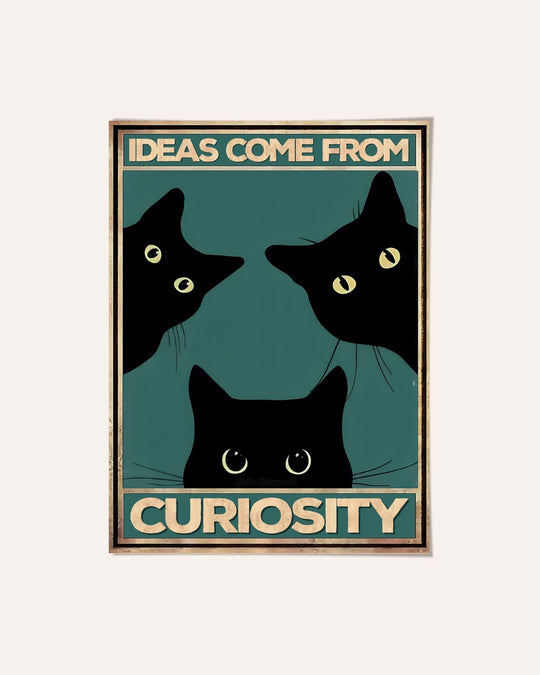 Ideas come from curiosity