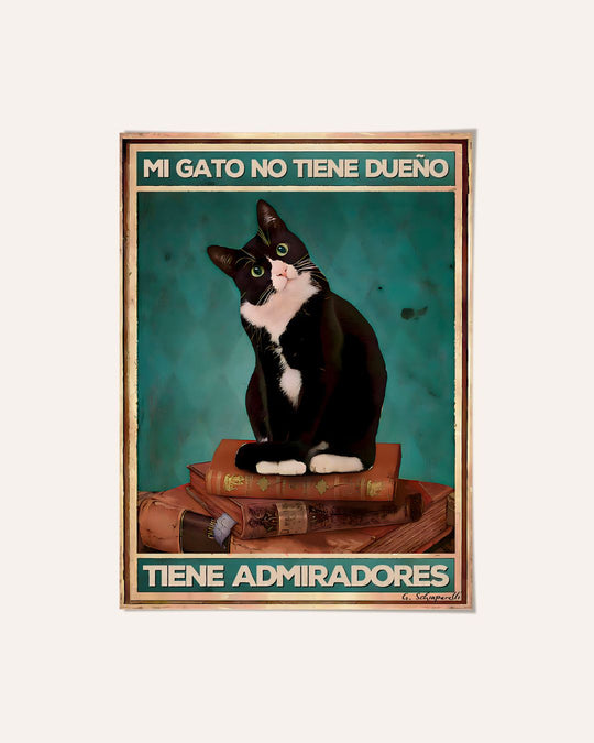 Mi gato no tiene dueño, tiene admiradores