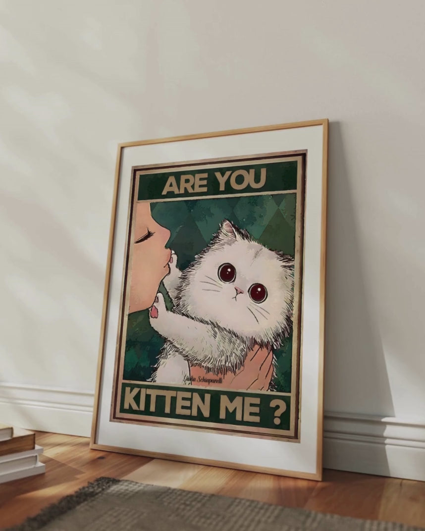 Are you kitten me ?