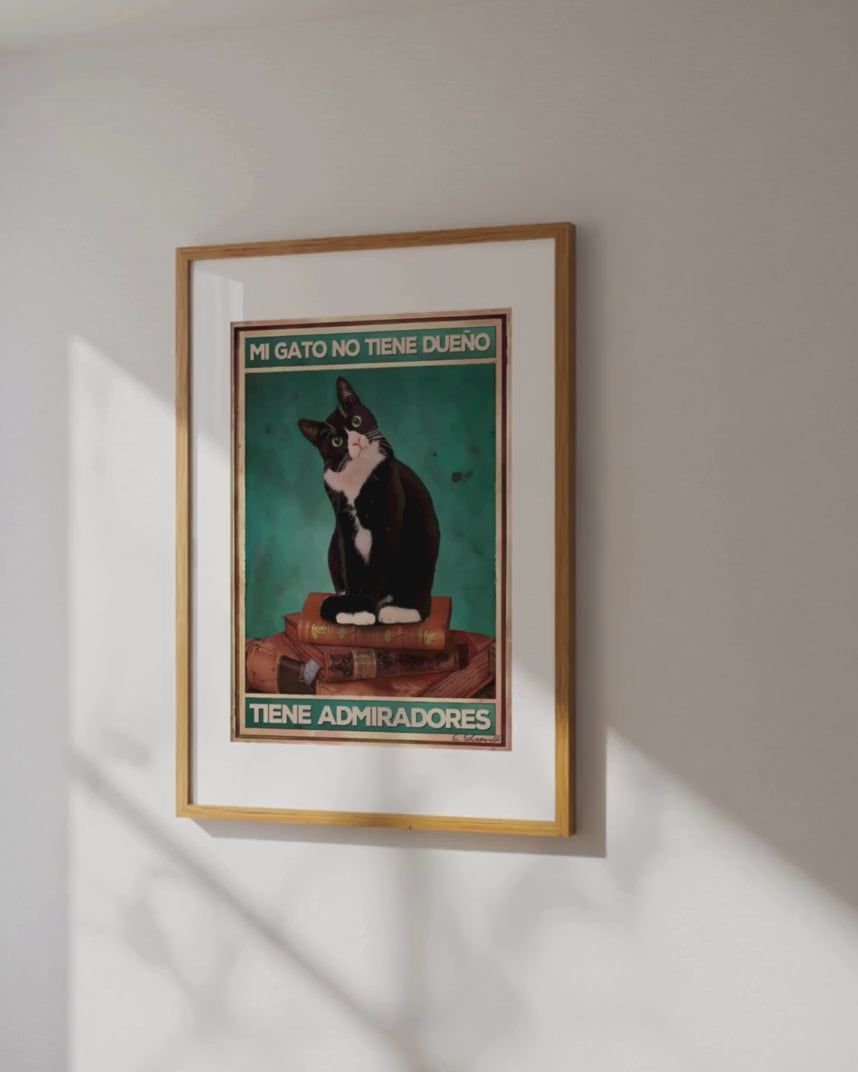 Mi gato no tiene dueño, tiene admiradores