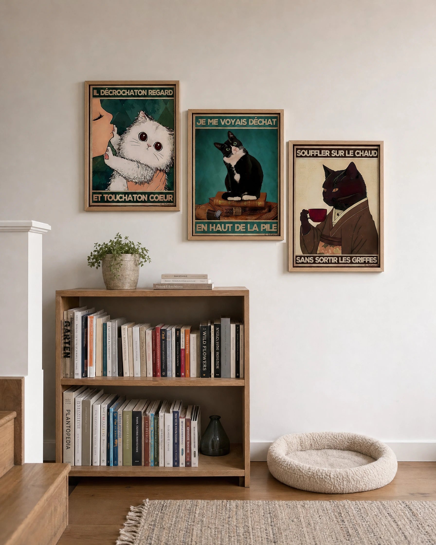 Cabinet des chats — suggestion de présentation, cadres non inclus